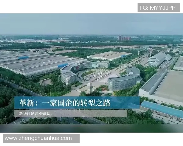 北京乒乓球队整体压制革新之路:从技术到战术的全面升级与突破